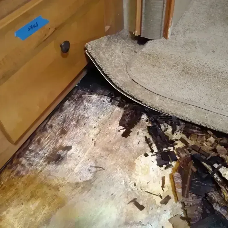 Best Wood Floor Water Damage Service in Clovis, CA